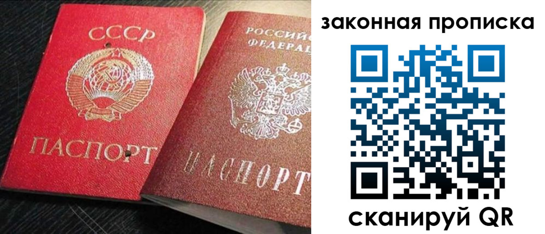 прописка штамп в Судогде